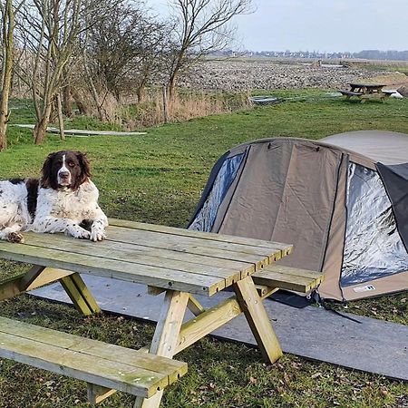 Basic 2P Tent Sotterum Hotell Kornwerd Exteriör bild