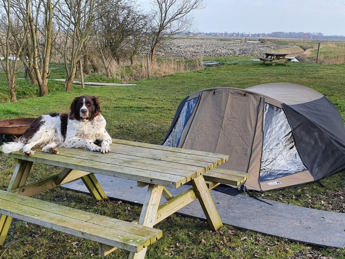 Basic 2P Tent Sotterum Hotell Kornwerd Exteriör bild