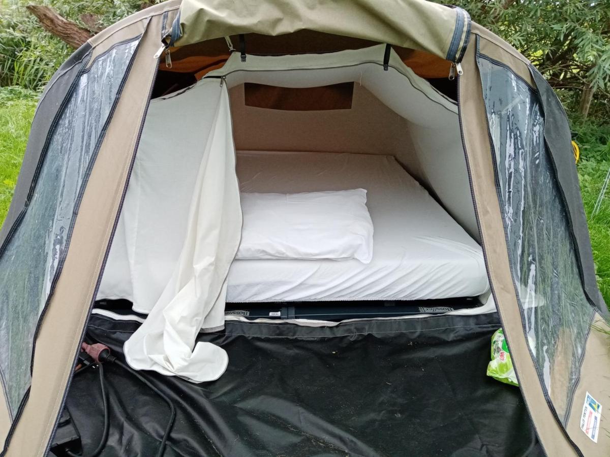 Basic 2P Tent Sotterum Hotell Kornwerd Exteriör bild